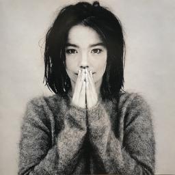 /artist/bjork.jpg